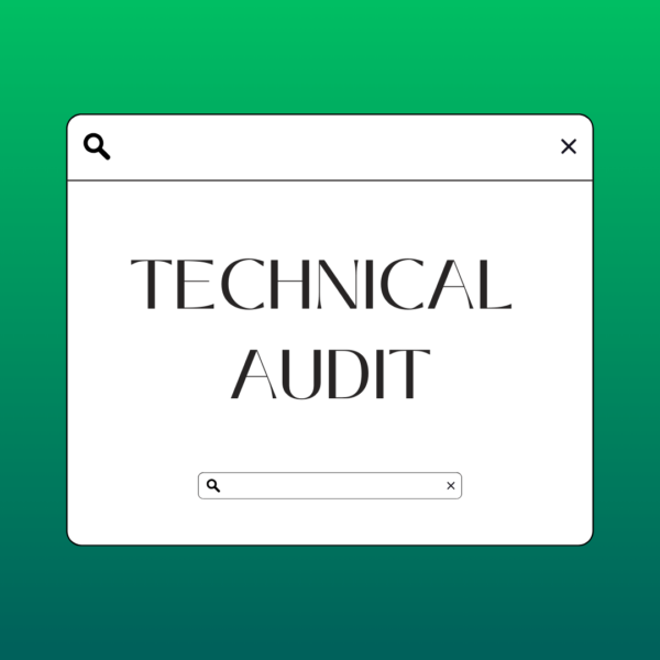 Technical Audit (3 Websites)