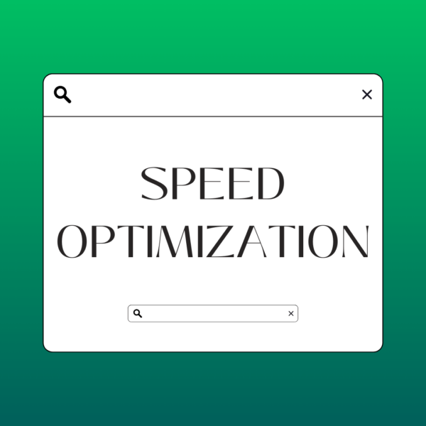 Speed Optimization (1 Website)